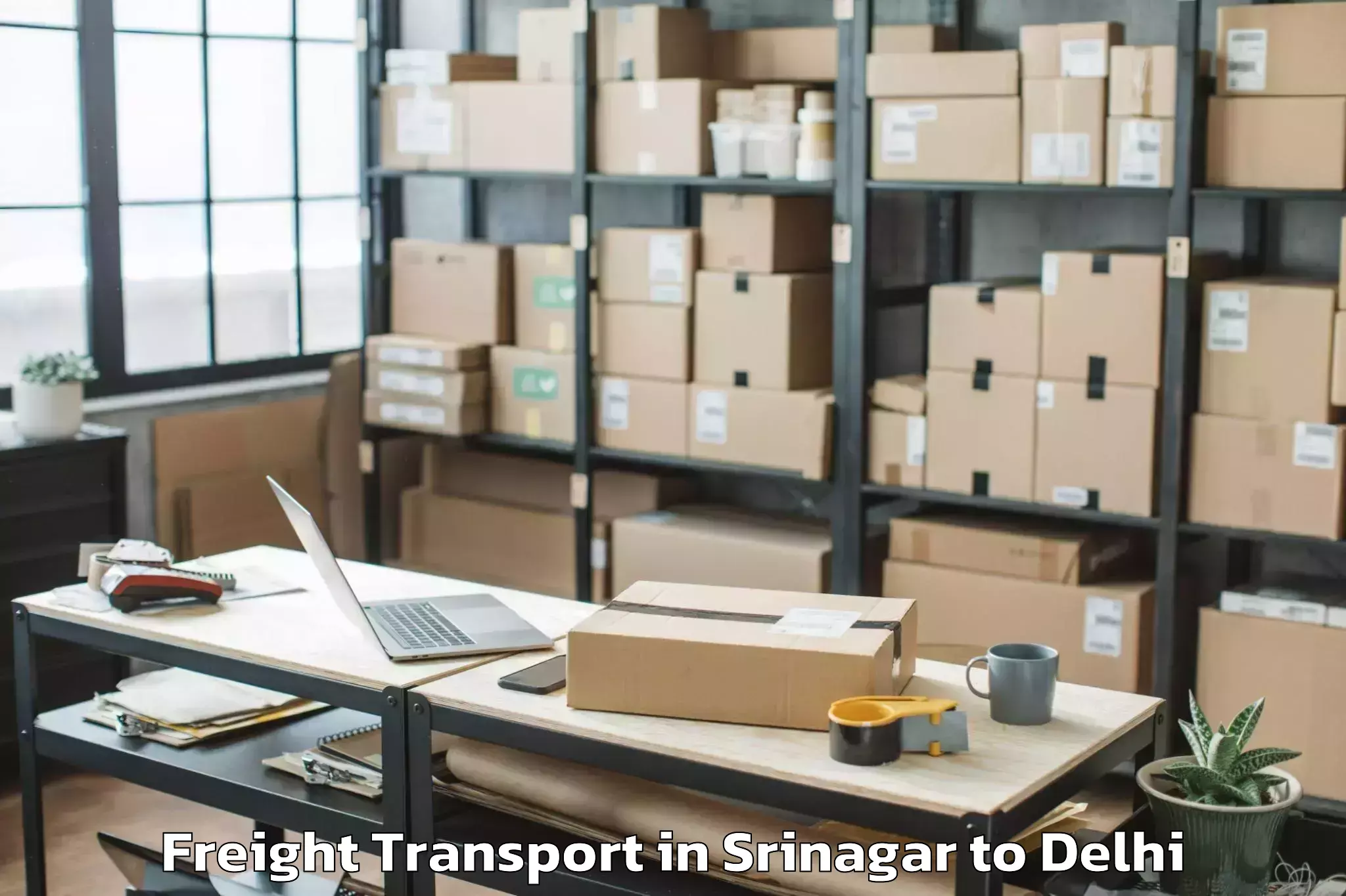 Book Srinagar to Indira Gandhi International Ai Freight Transport Online